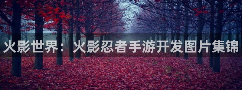 恒盛娱乐登录：火影世界：火影忍者手游开发图片集锦