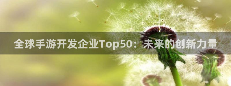 恒盛娱乐注册：全球手游开发企业Top50：未来的创新力量