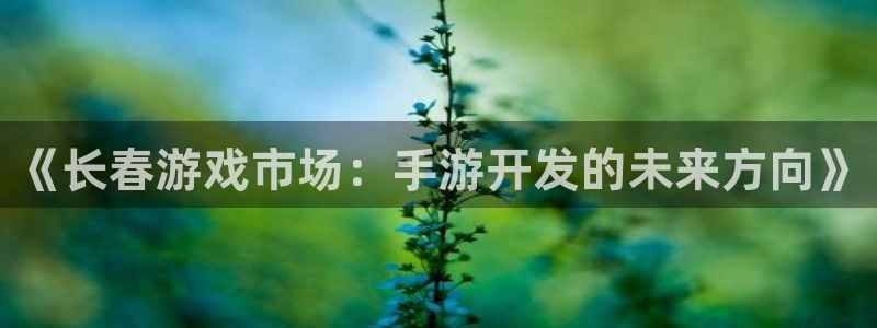 恒盛娱乐官网：《长春游戏市场：手游开发的未来方向》