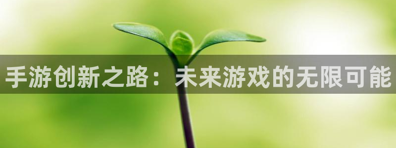 恒盛娱乐app：手游创新之路：未来游戏的无限可能