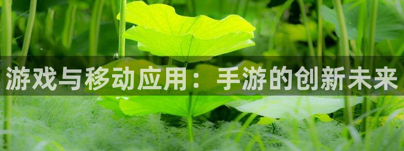 恒盛娱乐官网：游戏与移动应用：手游的创新未来