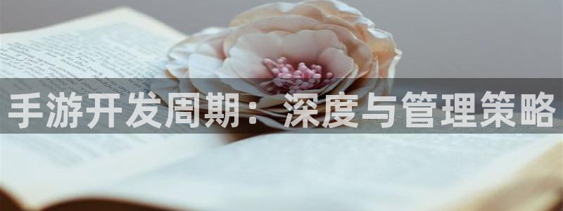 恒盛娱乐平台：手游开发周期：深度与管理策略