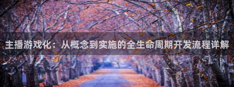 恒盛娱乐app：主播游戏化：从概念到实施的全生命周期开发流程