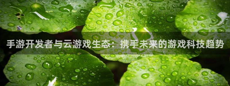 恒盛娱乐下载：手游开发者与云游戏生态：携手未来的游戏科技趋势