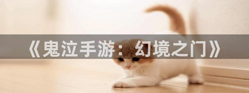 恒盛娱乐登录：《鬼泣手游：幻境之门》