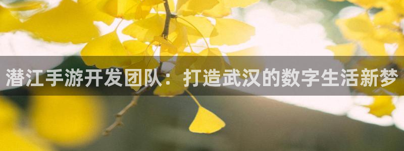 恒盛娱乐下载：潜江手游开发团队：打造武汉的数字生活新梦