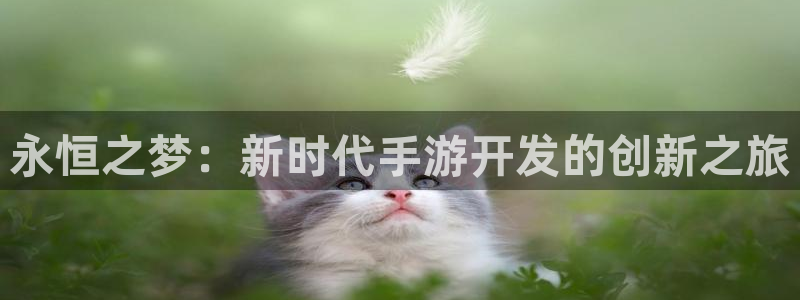 恒盛娱乐登陆：永恒之梦：新时代手游开发的创新之旅