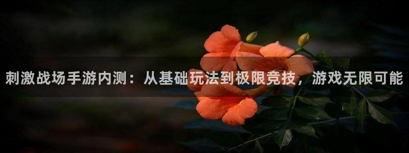 恒盛娱乐平台：刺激战场手游内测：从基础玩法到极限竞技，游戏无