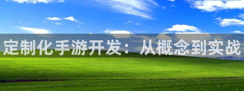恒盛娱乐下载：定制化手游开发：从概念到实战