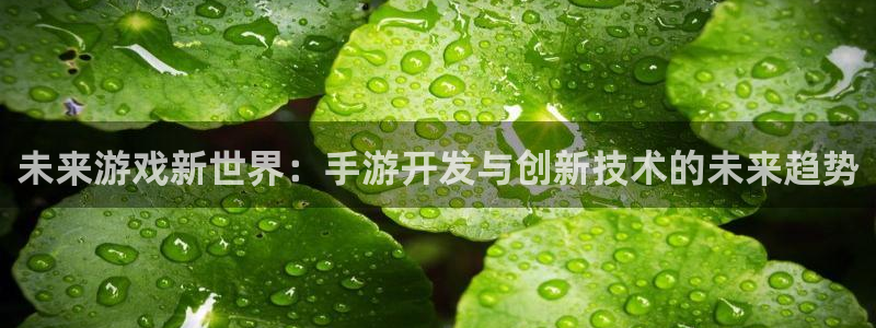 恒盛娱乐app：未来游戏新世界：手游开发与创新技术的未来趋势