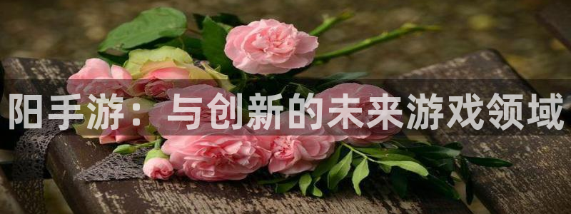 恒盛娱乐下载：阳手游：与创新的未来游戏领域