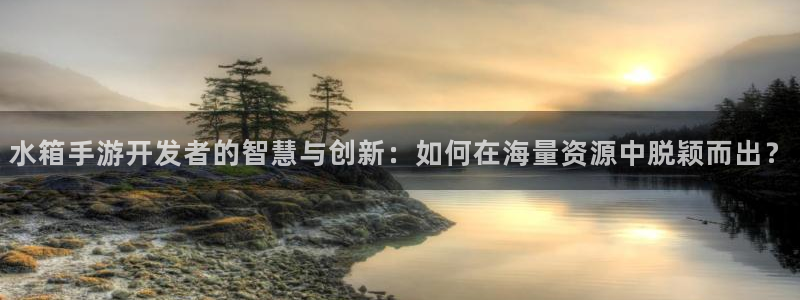 恒盛娱乐：水箱手游开发者的智慧与创新：如何在海量资源中脱颖而