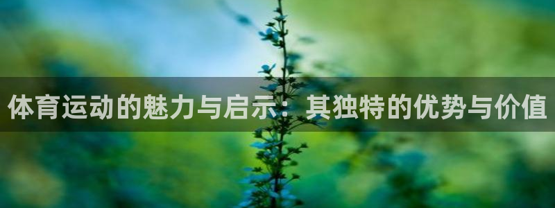 vsport体育：体育运动的魅力与启示：其独特的优势与价值
