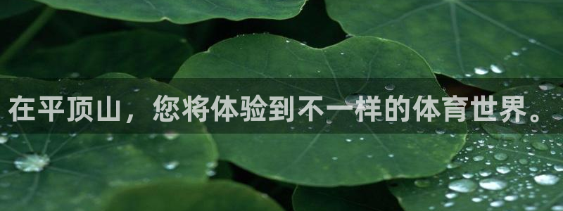 vsport体育：在平顶山，您将体验到不一样的体育世界。