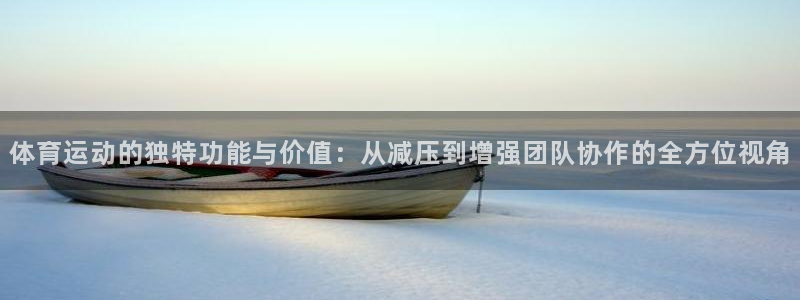 vsport体育在线官网：体育运动的独特功能与价值：从减压到增强团队协作的全方位视角