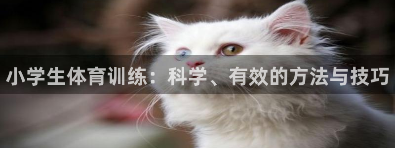 vsport体育在线官网：小学生体育训练：科学、有效的方法与技巧